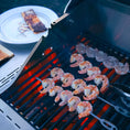 Load image into Gallery viewer, Mesa 400 | Stainless Gas Grill
